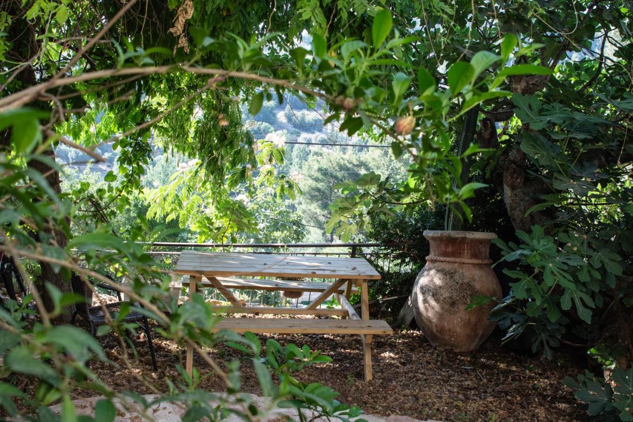 Harmony Inn Safed Esterno foto